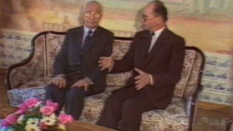 Archiv ČT24 - Šestkové květny