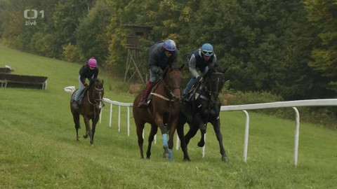 Velká pardubická - 131. Velká pardubická se Slavia pojišťovnou