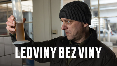 Ledviny bez viny