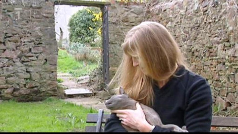 Kaleidoskop - 21. listopadu 2010