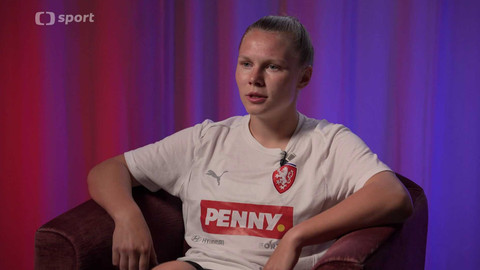 Lvice mimo hřiště - Lucie Bendová