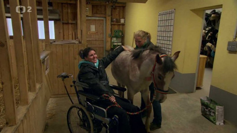 Dobrodružství vědy a techniky - Koně léčí