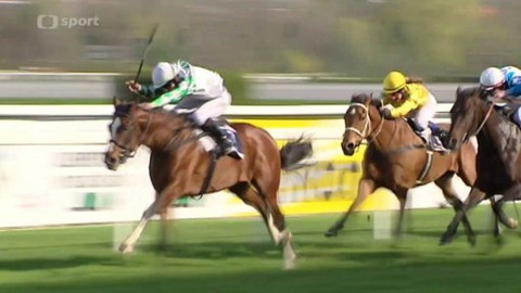 Turf - 22. dubna 2015