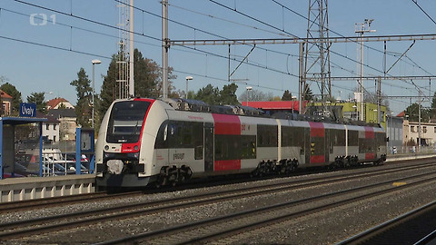 Černé ovce - 28. května