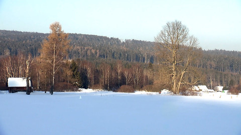Nedej se! - Zachránci divočiny v Jeseníkách
