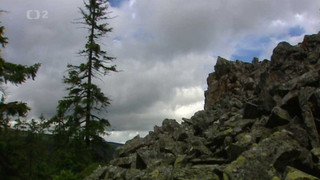 Skály a sutě Jeseníků