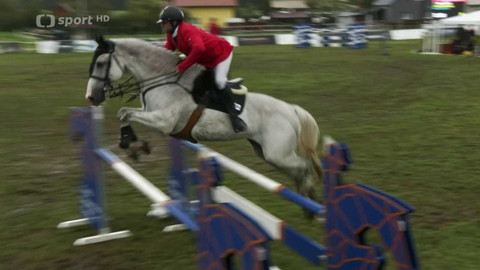 Jezdectví - VC Ostrava