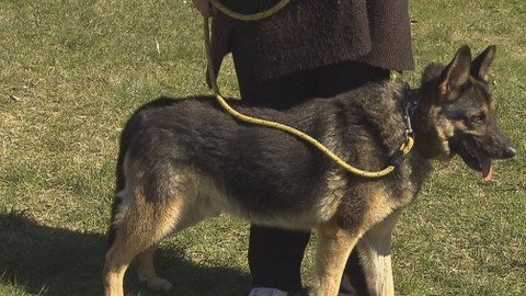 Chcete mě? - Chcete je?