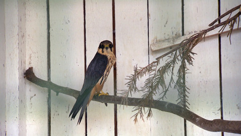 Chcete mě? - 16. října 2016