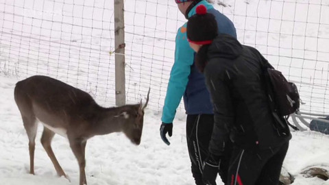 Běžkotoulky - Závažná Poruba