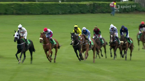 Dostihy - I. kvalifikace na 133. Velkou pardubickou se Slavia pojišťovnou