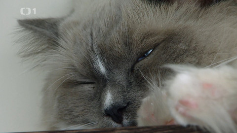 Polopatě - 6. června 2021