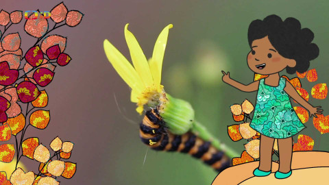 Velká kniha o zvířátkách - Epizoda 49/52