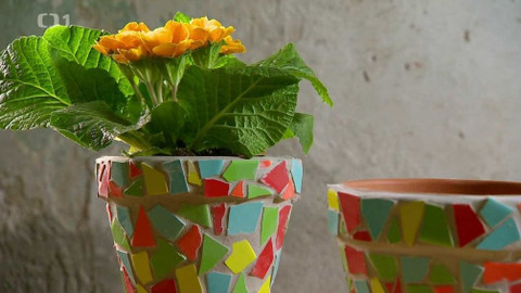 Polopatě - 31. ledna 2021