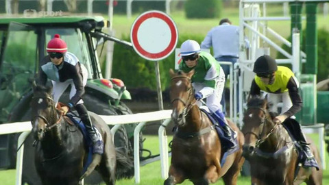 Dostihy - Zlatý pohár EŽ