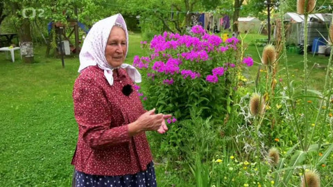 Folklorika - Devatero kvítí