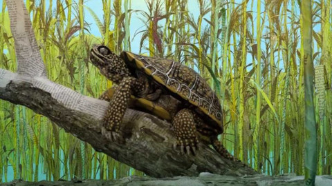 Ahoj, světe! - Epizoda 4/10