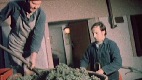 Z lidové klenotnice - Vinohrady, vinohrady