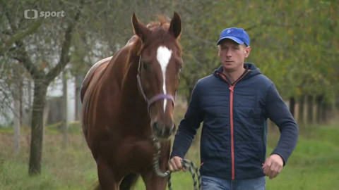 Velká pardubická - Před Velkou pardubickou 2020