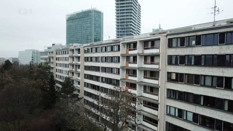 Černé ovce - 15. ledna