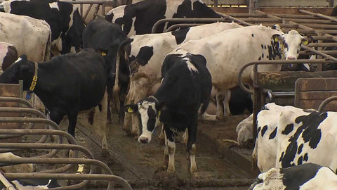 Nedej se! - Zemědělství na rozcestí