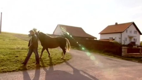 Na pomoc životu - Rakovina v rodině
