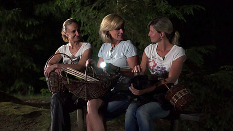 Kouzelné bylinky - Svatojánské byliny