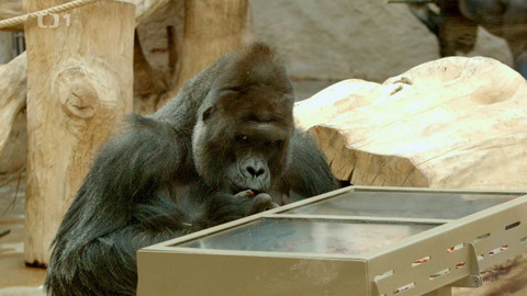 Máme rádi zvířata - 22. května 2023