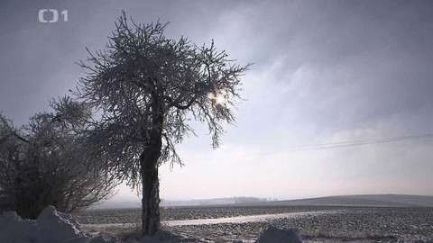 Týden v regionech (Ostrava) - 13. ledna 2024