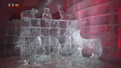 Zprávičky - 23. listopadu 2022