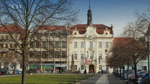 Toulavá kamera - 12. února 2023