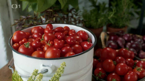 Herbář - 11. prosince 2022