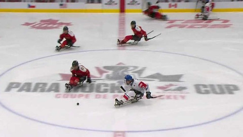 Hokej - Česko - Čína