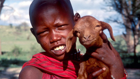 Můj mazlíček - 5/26 Pierre a jeho kozí stádo