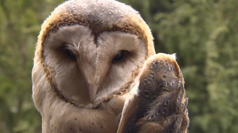 Chcete mě? - 22. června 2014