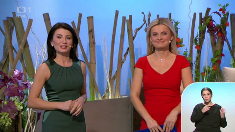 Sama doma - 13. listopadu 2015