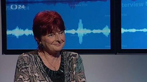 Interview ČT24 - 15. června 2015