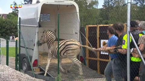 Zprávičky - 13. července 2022