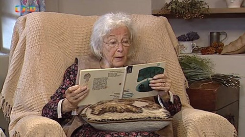 Čtení do ouška - Kočičiny kocourka Damiána II