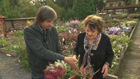 Hobby naší doby - 8. listopadu 2014