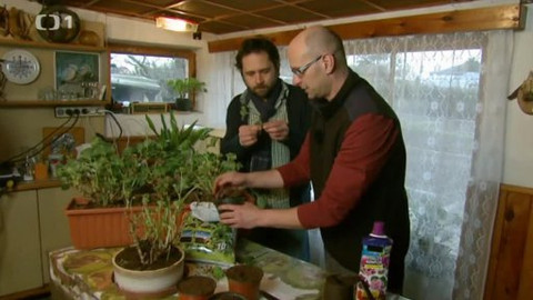 Polopatě - 6. dubna 2014