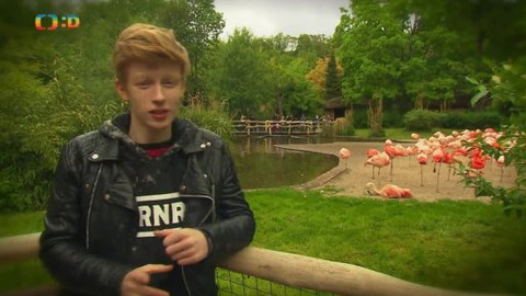 Dé pětka - 11. května 2014