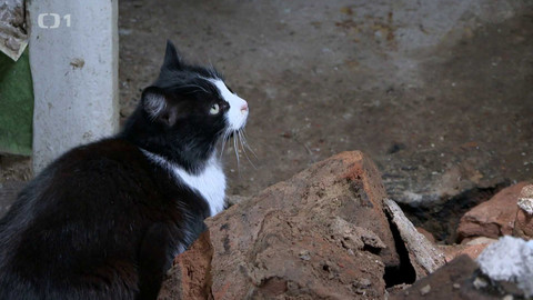 Reportéři ČT - 6. května 2024