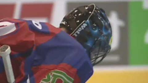 Inline hokej - MS v inline hokeji 2010 Česko