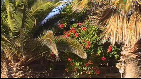 Objektiv - 16. května 2010