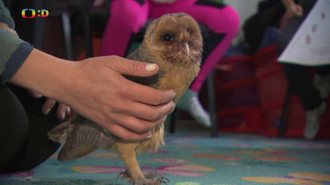 Zprávičky - 4. října 2024