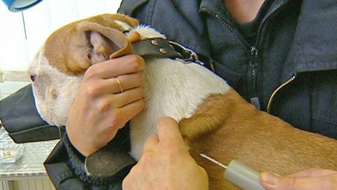 Chcete mě? - 12. listopadu 2008