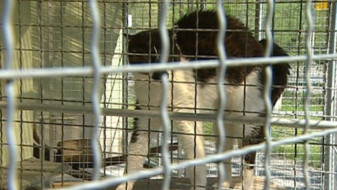 Chcete mě? - 1. května 2009