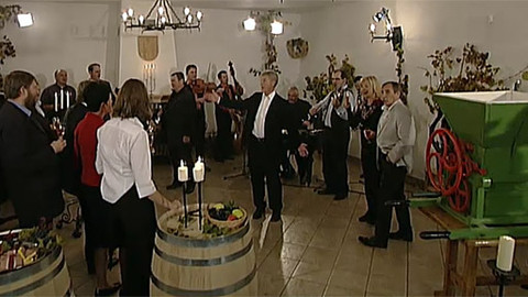 Vínečko - Ze Svatobořic-Mistřína o sektu