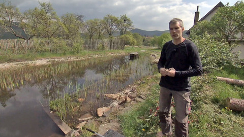 Nedej se! - Živá voda